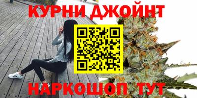 крисы Ставрополь