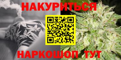 крисы Ставрополь