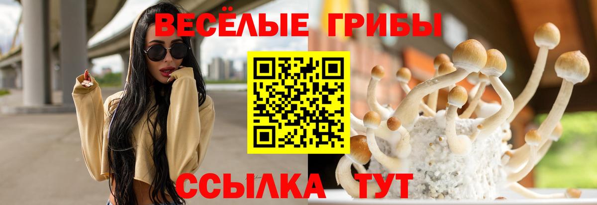Псилоцибиновые грибы Magic Shrooms Белореченск